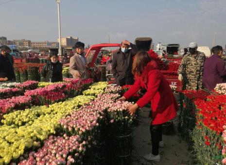 北京鲜切花市场哪个最大