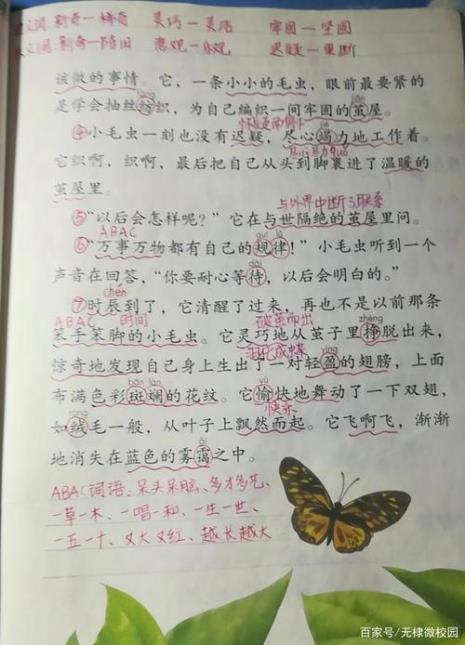 小毛虫的变化150字