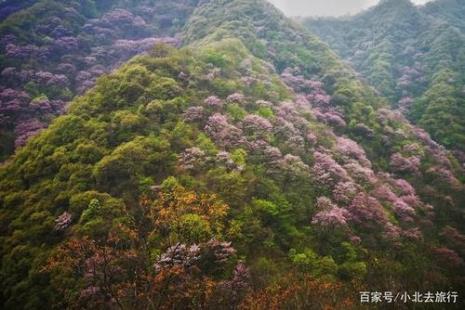 陕西省的秦岭有多少条峪