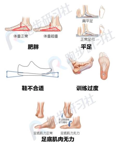 跖围怎么测量