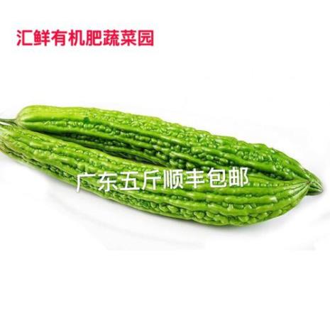 深圳3月份适合种什么蔬菜