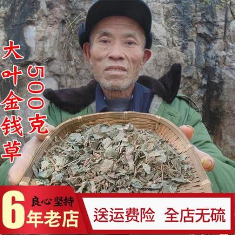 海金沙和金钱草可以治疗结石么