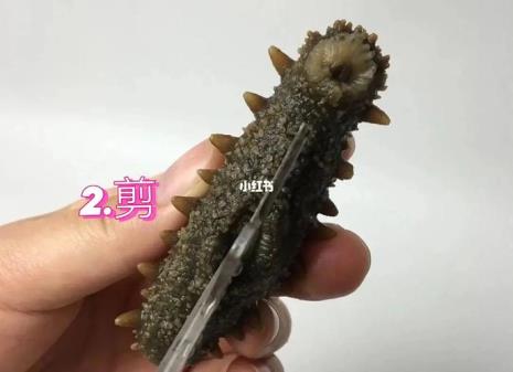 海参發泡清洗方法