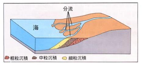 河口三角洲是如何形成的