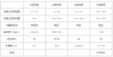 20头和30头鲍的区别