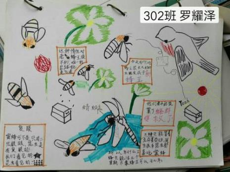 蜜蜂备忘录小学生三年级怎么写