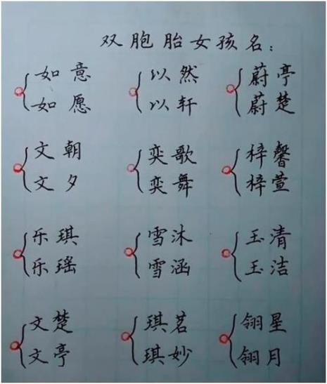 请给双胞胎起个名字