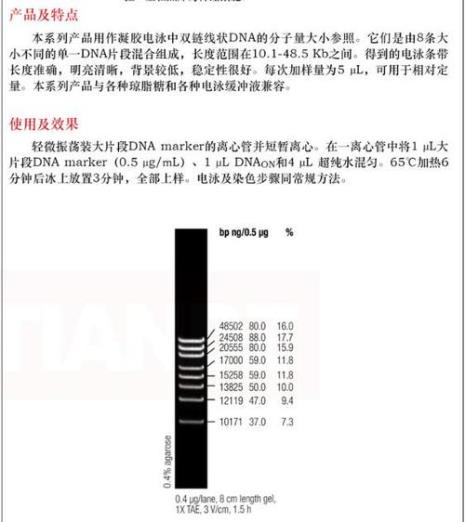 丝素分子量