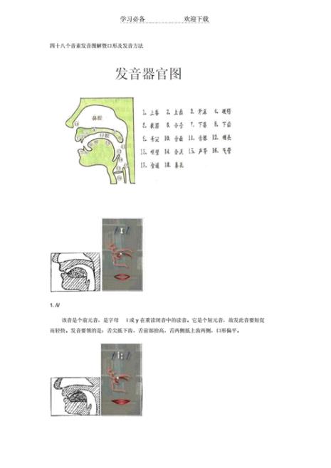 l发音舌头正确位置