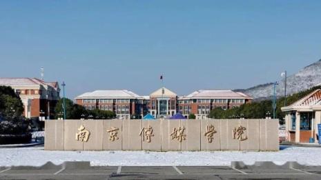 南京传媒学院教师多少