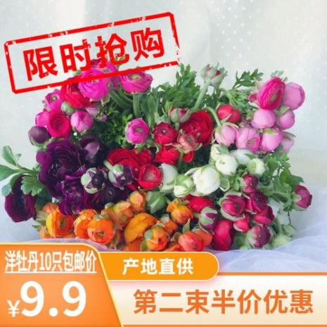 花毛茛可以水培吗