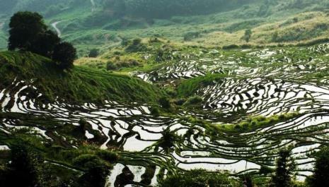 尤溪梯田景区