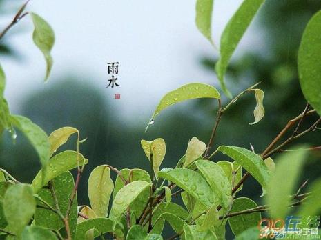 过了雨水节气气温会怎样