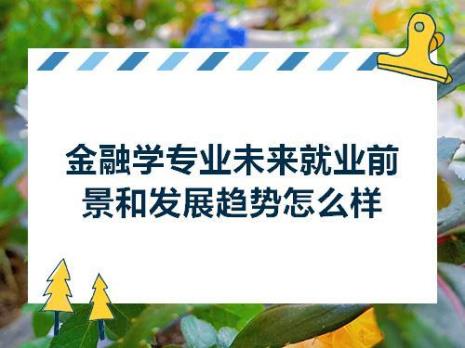 金融服务与管理的就业方向