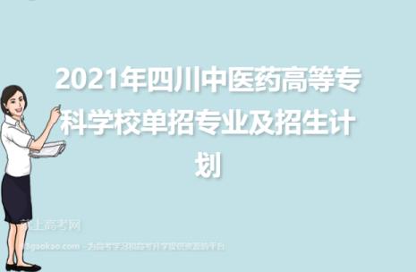 四川有哪些医药高等专科学院