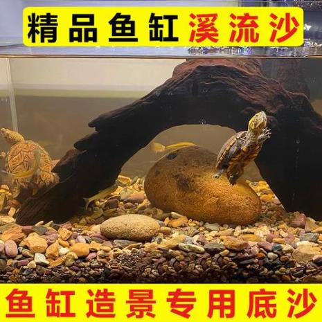 12米鱼缸铺多少底砂