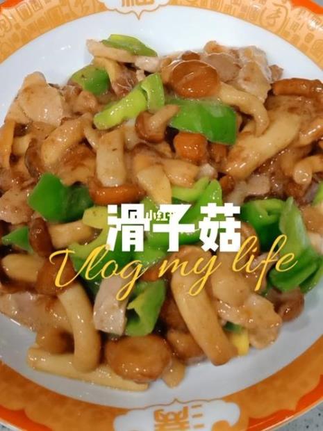 蘑菇是蔬菜还是肉