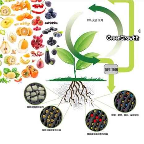 微生物菌剂制作方法