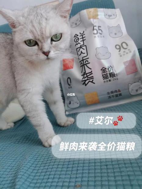 猫粮蒸多长时间