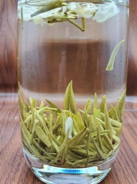 乌龙茶和茉莉花茶哪个好