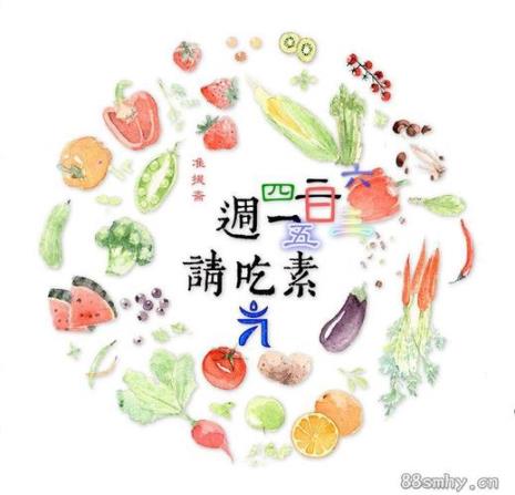 元气素膳怎样用