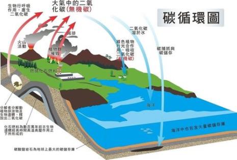 全球碳循环过程及其机制和特点