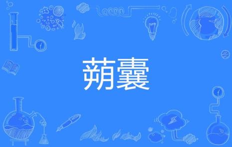 学囊什么意思