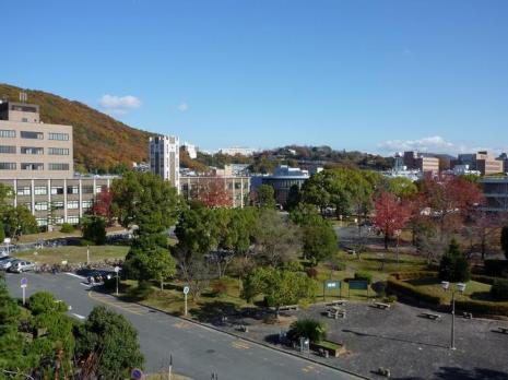 日本山梨大学排名是多少