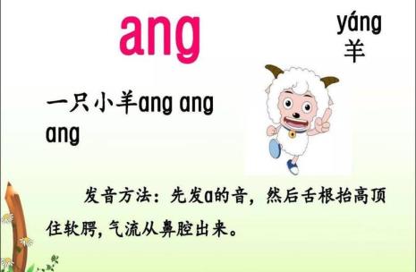 ang音节字