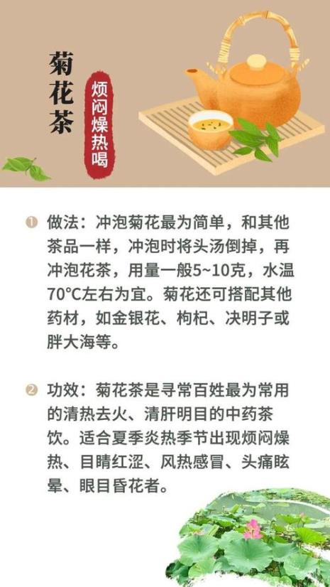 一年四季应分别喝什么茶