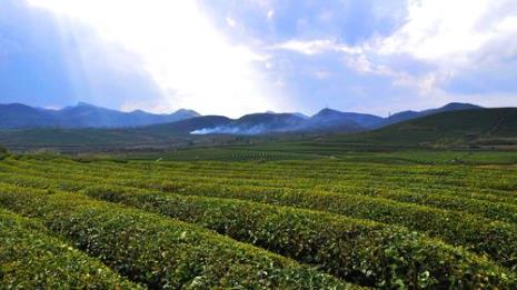 为什么叫茶山风景区