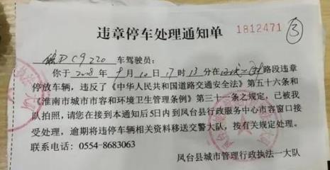 违停打110怎么处罚