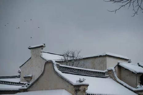 何时仗尔看南雪出自哪首诗