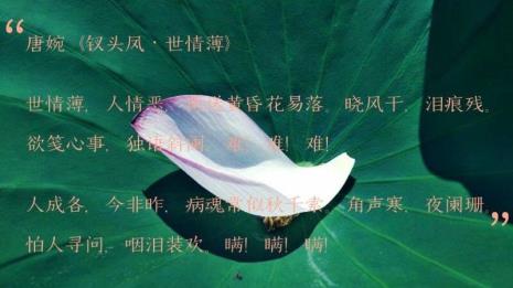 执念君心什么意思