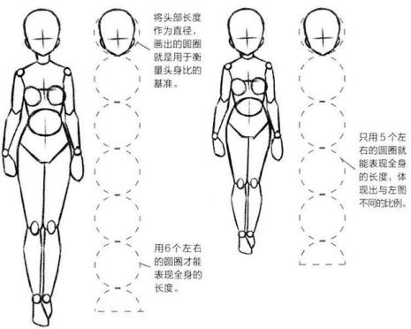 人体最佳比例是