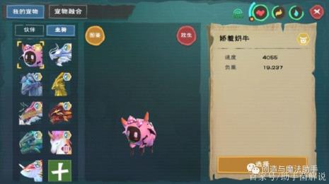 创造与魔法奇异生物吃什么