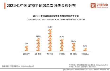 宠物摄影盈利模式