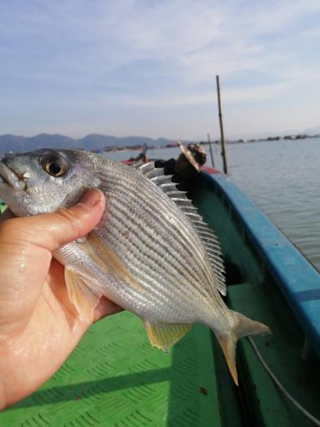 海边钓鱼涨潮还是退潮好钓