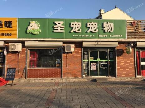 北京开一家宠物店赚钱吗