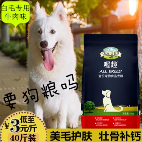 大型犬幼犬每天喂多少狗粮