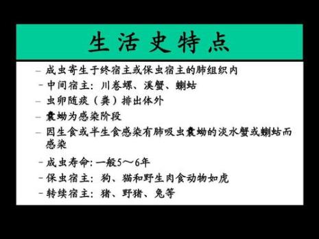 川卷螺是淡水螺吗