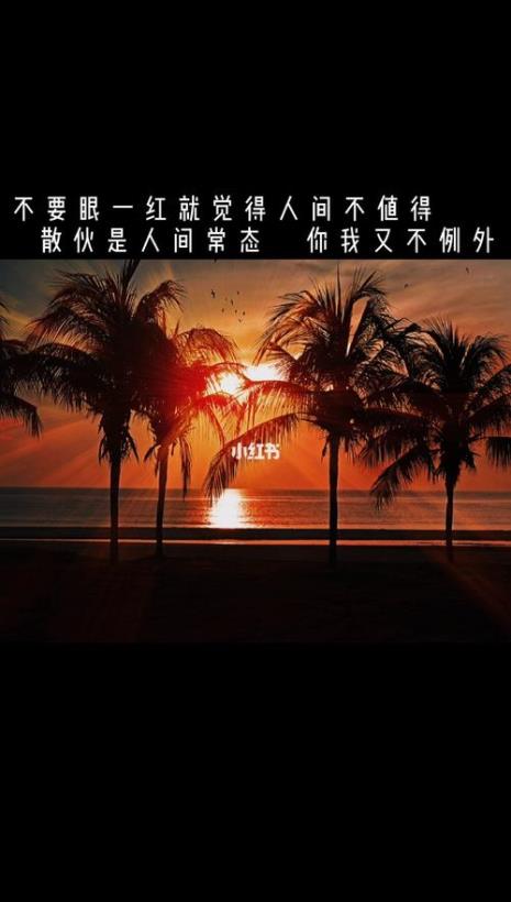 遗憾是常态是什么意思