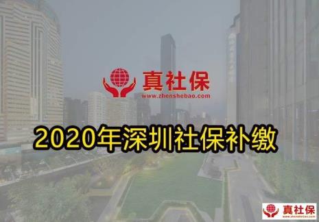 深圳补交社保流程