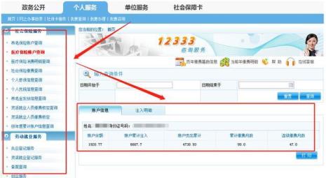 12333社保个人查询登录不上去
