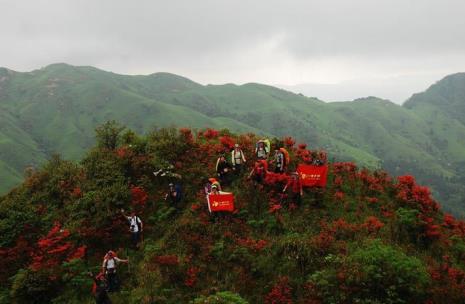 什么紫山红