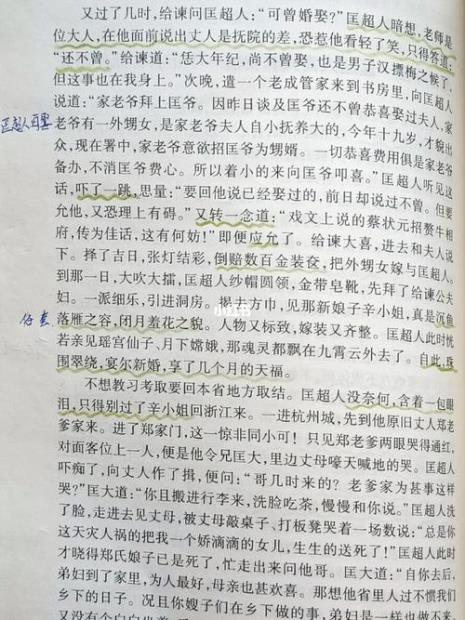 儒林外史第二回的王举人名字