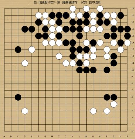 步数最多的围棋局棋谱