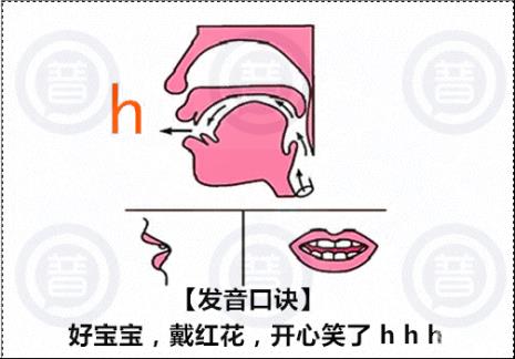 声母是h的字有哪些