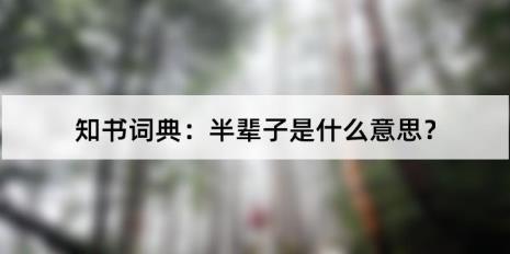 下半辈子是什么意思