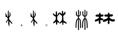 从造字法看衣属于什么性字